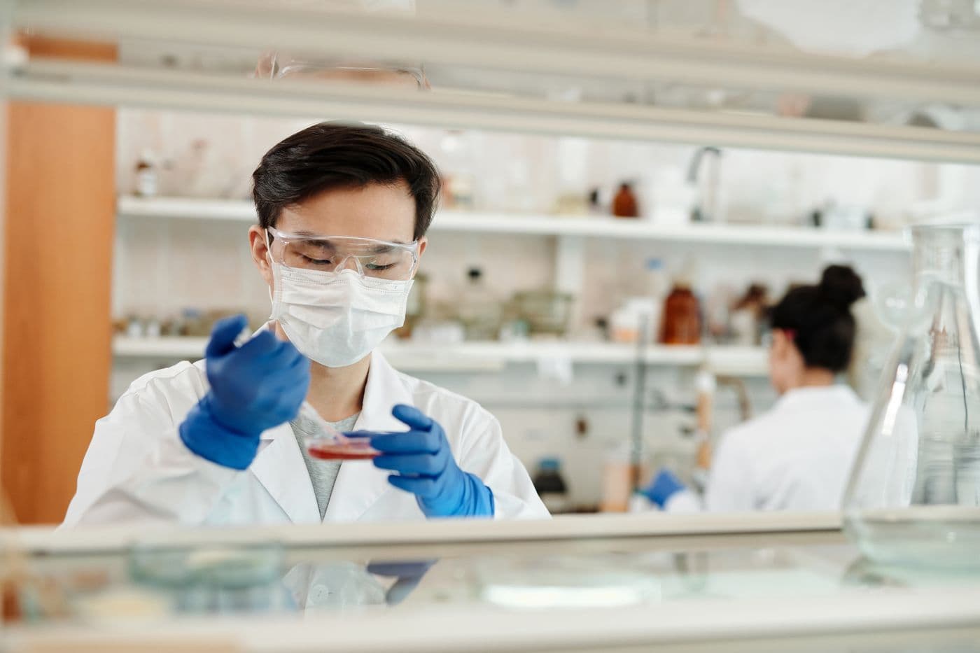 İmmünoassay Hormon Analizörü